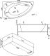 Акриловая ванна Bas Лагуна 170x110 см левая без гидромассажа
