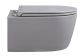 Подвесной унитаз Avimano Ambition 1000053 безободковый серый матовый