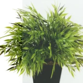 Душевой уголок Triton Терра Щ0000072197 120x90 см профиль хром стекло прозрачное