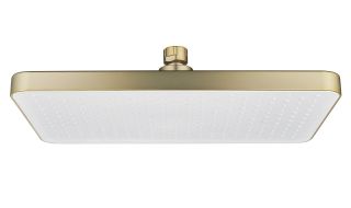 Верхний душ Shevanik SH68G золотой сатин