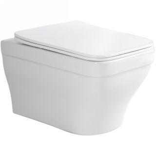 Подвесной унитаз Aquatek Амадео AQ1163-00 с сиденьем Микролифт