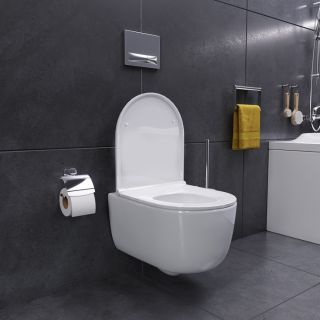 Унитаз подвесной  Damixa Sirius DX86C1700SC с сиденьем микролифт