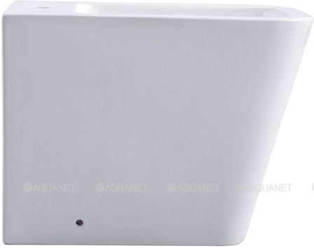 Биде напольное Aquanet 243551 белый