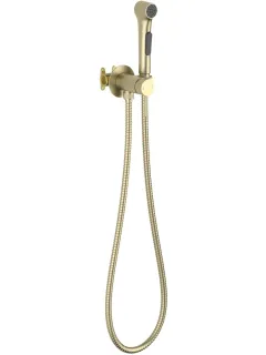 Гигиенический душ со смесителем Aquatek Европа AQ1020BG шлифованное золото