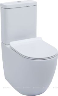 Унитаз-компакт Aquanet Rimless Cetus-C1 BL-102N-TPT 203342 белый