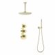 Душевой комплект Timo Saona SX-2399/17SM золото матовое