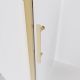 Душевая дверь Veconi Evo 100 G, 1100x1950, золото брашинг, стекло прозрачное