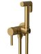 Гигиенический душ со смесителем Raiber Graceful RPG-009 золото матовое