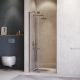 Душевая дверь RGW HO-014Gr 350601409-110 90см серый