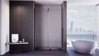 Душевая дверь Veconi Premium Trento PTDW-50B, 1200x2000, черный матовый, стекло прозрачное