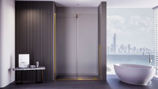 Душевая дверь Veconi Premium Trento PTDW-50G, 1200x2000, брашированное золото, стекло прозрачное