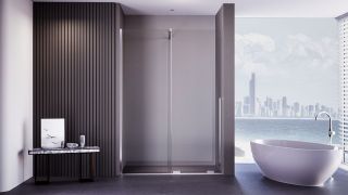 Душевая дверь Veconi Premium Trento PTDW-50CH, 1300x2000, хром, стекло прозрачное