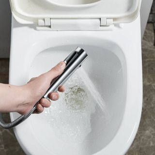 Гигиенический душ со смесителем Rose R1805-1 хром